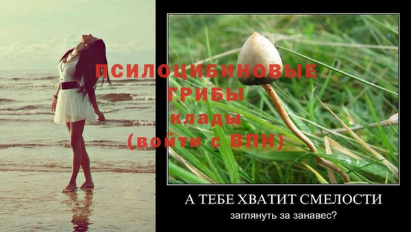 первитин Белокуриха